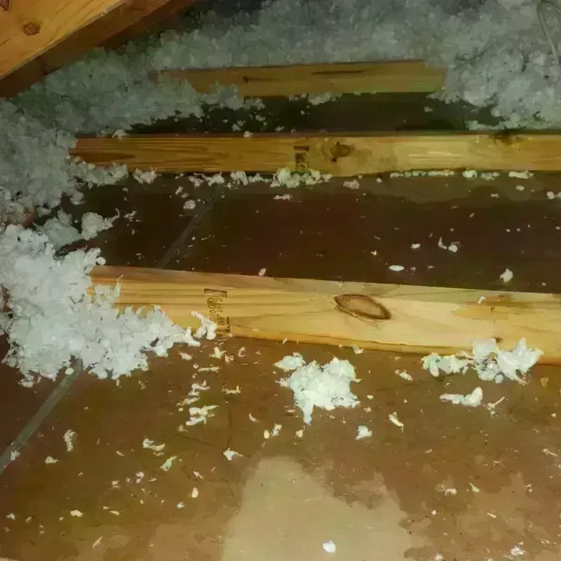 Attic Water Damage in Wollochet, WA